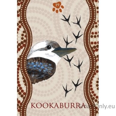 Aboriginal Healing Oracle kortos Rockpool 2