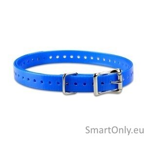 ACC,COLLAR STRAP,3/4in,SQ-BUCKLE,TUCK-RING,NICKEL,BLUE