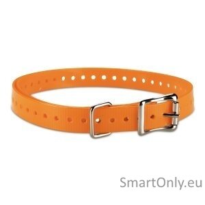 ACC,COLLAR STRAP,3/4in,SQ-BUCKLE,TUCK-RING,NICKEL,ORANGE