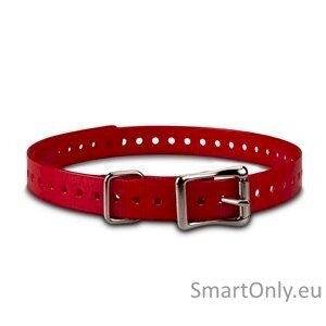 ACC,COLLAR STRAP,3/4in,SQ-BUCKLE,TUCK-RING,NICKEL,RED