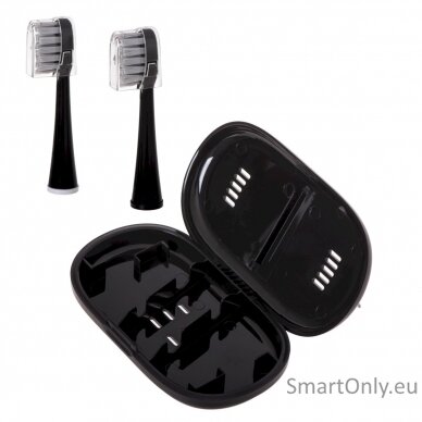 Adler 2-in-1 Water Flossing Sonic Brush | AD 2180b | Rechargeable | For adults | Number of brush heads included 2 | Number of teeth brushing modes 1 | Black 10