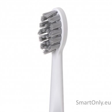 Adler 2-in-1 Water Flossing Sonic Brush | AD 2180w | Rechargeable | For adults | Number of brush heads included 2 | Number of teeth brushing modes 1 | White 10