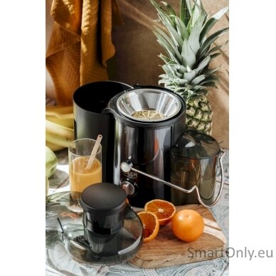 Adler AD 4132 | Type Juicer maker | Dark Inox | 800 W | Number of speeds 3 7