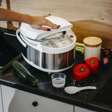 Adler Multicooker 6 in 1 | AD 6420 | 700 W | 3.25 L | Number of programs 6 9