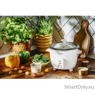 Adler Rice Cooker | AD 6418 | 300 W | 0.6 L | Number of programs 2 | White 10