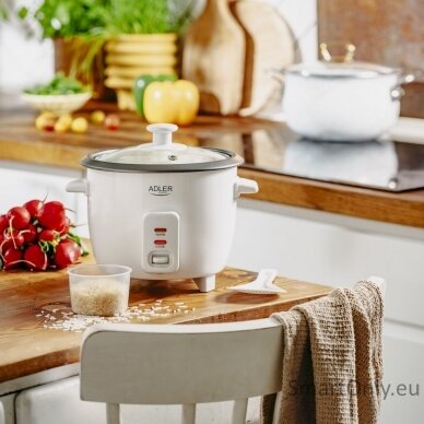 Adler Rice Cooker | AD 6418 | 300 W | 0.6 L | Number of programs 2 | White 9