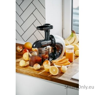 Adler Slow Juicer AD 4130 Type Juicer maker Steel/Black 150 W Number of speeds 1 5