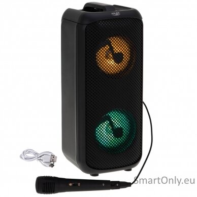 Adler Speaker with radio | AD 1903 | 2x5 W | Bluetooth | Black | Portable | Wireless connection 4