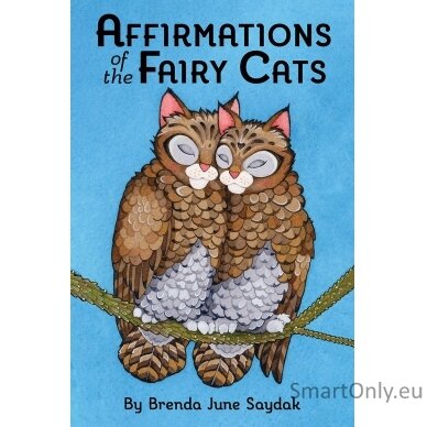 Affirmations of the Fairy Cats kortos US Games Systems 12