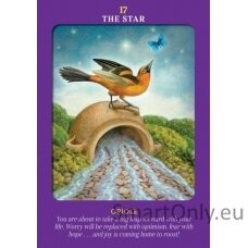 Animal Guides Tarot kortos Hay House