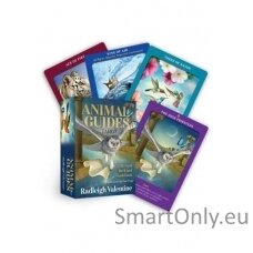 Animal Guides Tarot kortos Hay House