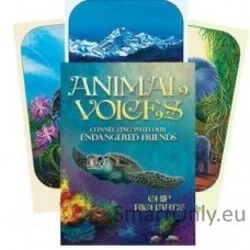 Animal Voices Oracle kortos Blue Angel