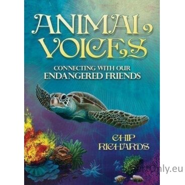 Animal Voices Oracle kortos Blue Angel 4