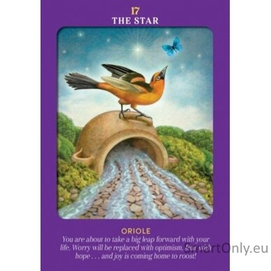 Animal Guides Tarot kortos Hay House 1