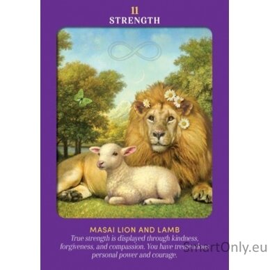 Animal Guides Tarot kortos Hay House 4