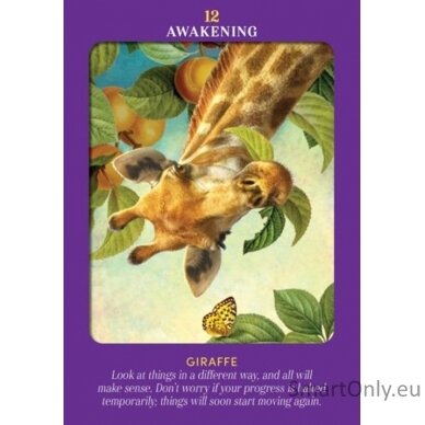 Animal Guides Tarot kortos Hay House 5