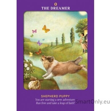 Animal Guides Tarot kortos Hay House 6