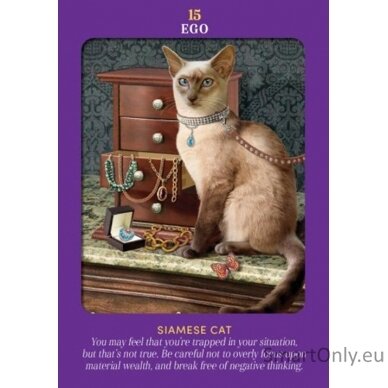 Animal Guides Tarot kortos Hay House 7