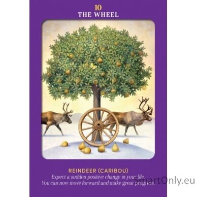 Animal Guides Tarot kortos Hay House 8