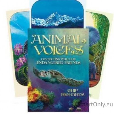 Animal Voices Oracle kortos Blue Angel