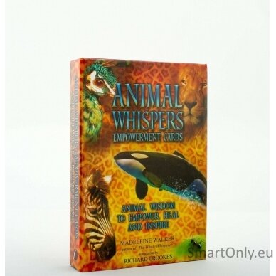 Animal Whispers Empowerment kortos Findhorn Press 7