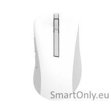 Asus Wireless Mouse | MD102 | Mouse | 2.4 GHz, Bluetooth | White