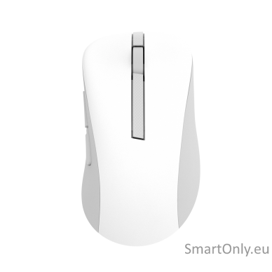 Asus Wireless Mouse | MD102 | Mouse | 2.4 GHz, Bluetooth | White