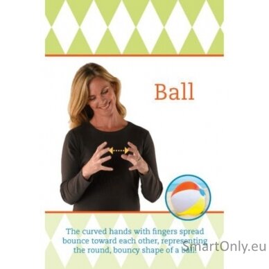 Baby Sign Language Flash (ASL) gestų kortelės Hay House 4