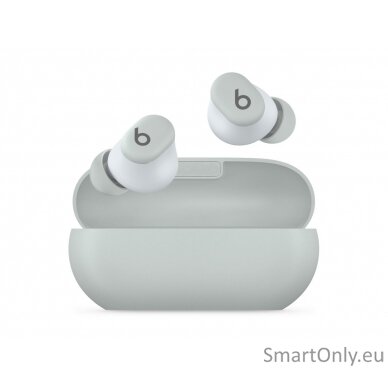 Beats Solo Buds, Storm Grey | Beats 2