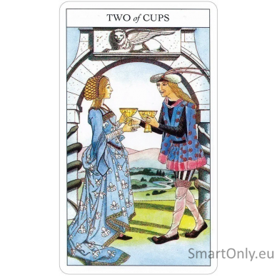 Beginners Guide To Tarot kortos ir knyga US Games Systems 13