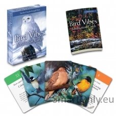 Bird Vibes Meditation kortos Beyond Woords