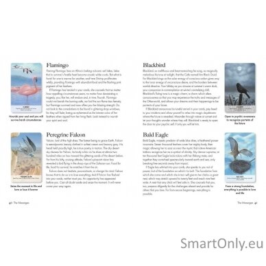 Bird Messages kortos Cico Books 8