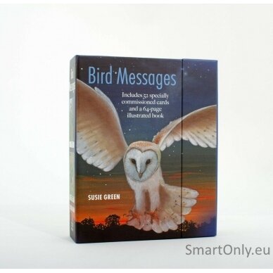 Bird Messages kortos Cico Books 9