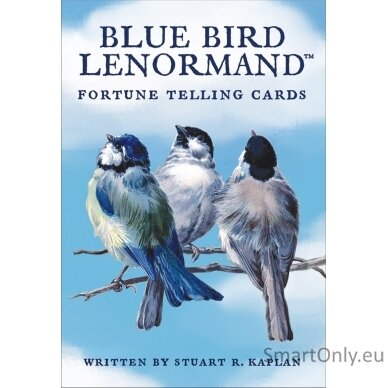 Blue Bird Lenormand kortos US Games Systems 9