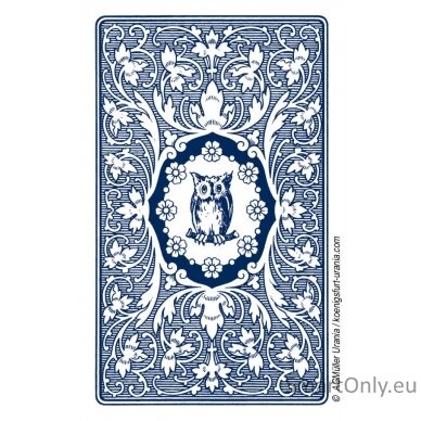 Blue Owl Lenormand Kortos AGM 3