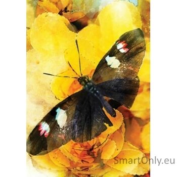 Butterfly Affirmations kortos Blue Angel 3