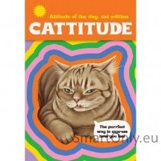 Cattitude kortos Rockpool Publishing