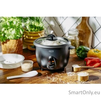 Camry Rice Cooker | CR 6419 | 400 W | 1 L | Number of programs 2 | Black 11