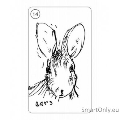 Carrot Cards Taro Kortos Schiffer Publishing 3