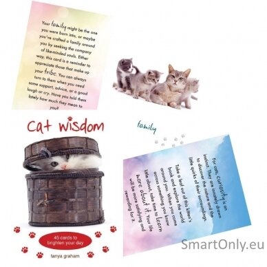 Cat Wisdom kortos Blue Angel