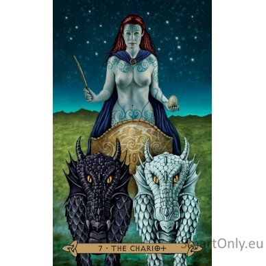 Celtic Tarot kortos Llewellyn 2