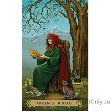 Celtic Tarot kortos Llewellyn 3