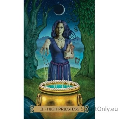 Celtic Tarot kortos Llewellyn 5