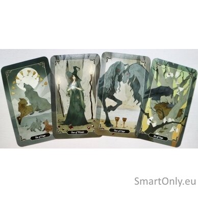 Dark Wood Tarot kortos Llewellyn 2