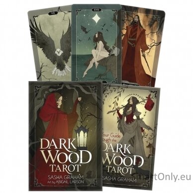 Dark Wood Tarot kortos Llewellyn