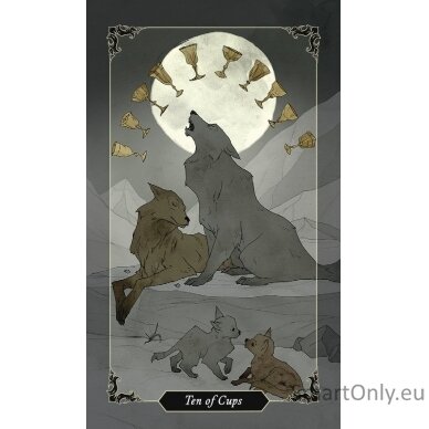 Dark Wood Tarot Mini kortos Llewellyn 1