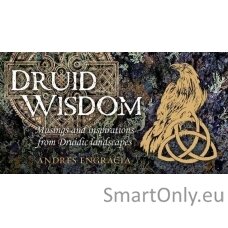 Druid Wisdom Inspiration kortos Rockpool