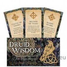 druid-wisdom-inspiration-kortos-rockpool