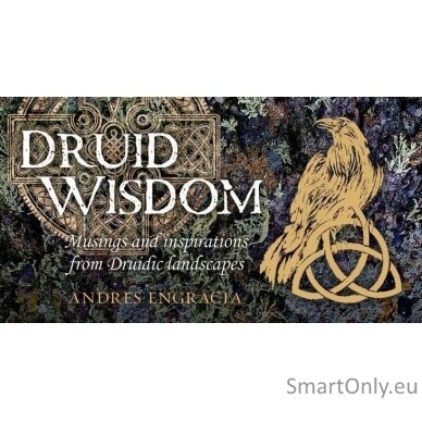 Druid Wisdom Inspiration kortos Rockpool 1