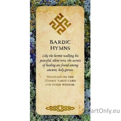 Druid Wisdom Inspiration kortos Rockpool 4